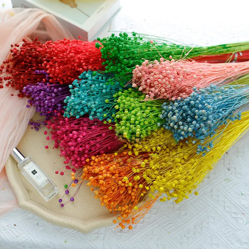 Natural Dry Flowers Pink Room Fake Plants Christmas Supplies Gardening and Decoration Luxury Birthday Party Accessories Wedding
Natural Dry Flowers Pink Room Fake Plants Christmas Supplies Gardening and Decoration Luxury Birthday Party Accessories Wedding