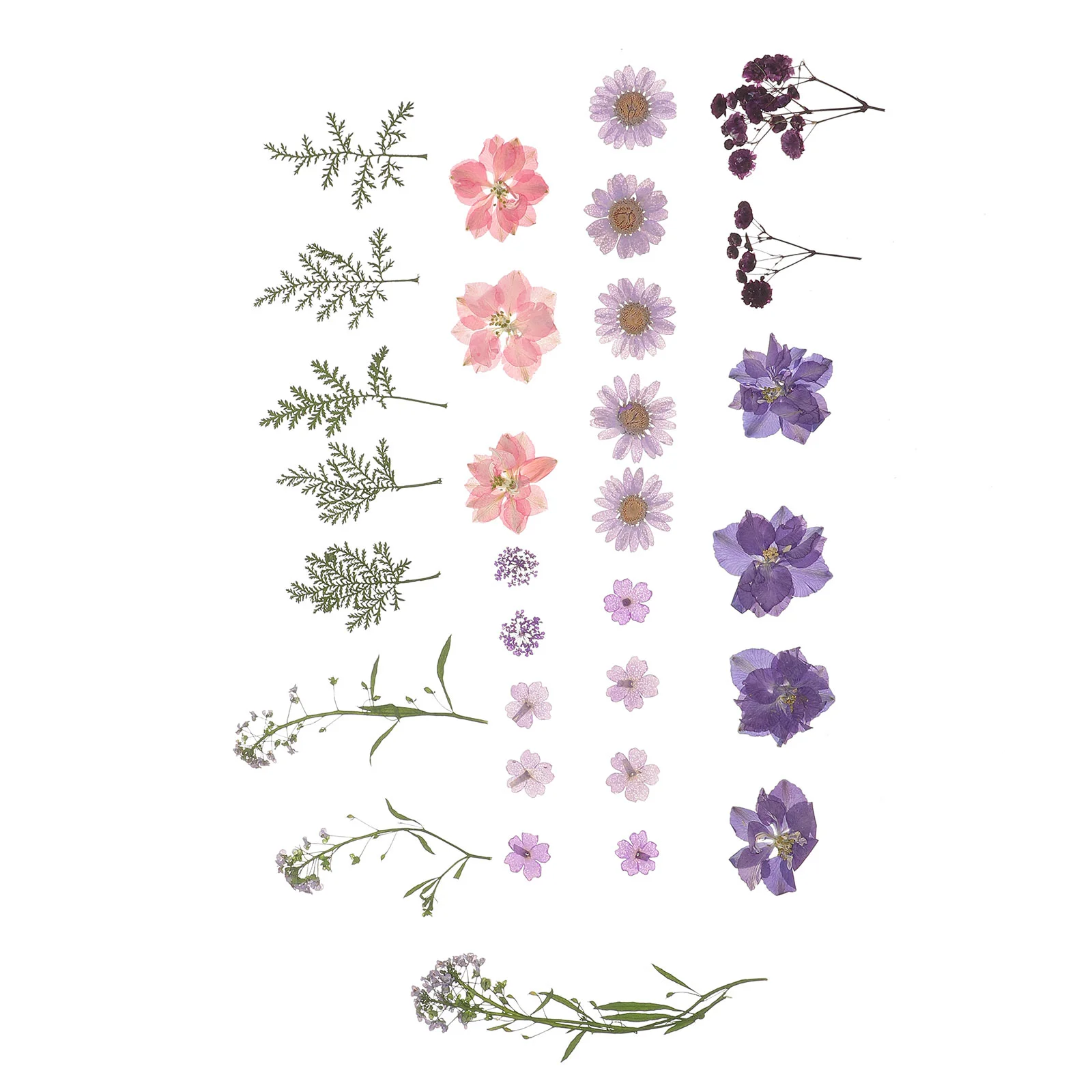 Flowers Pressed Dried Flowerresin Crafts Mini Nail Artjewelry Petals Preserved Making Charm Artificial Bouquetdiy Shellnatural
Flowers Pressed Dried Flowerresin Crafts Mini Nail Artjewelry Petals Preserved Making Charm Artificial Bouquetdiy Shellnatural
