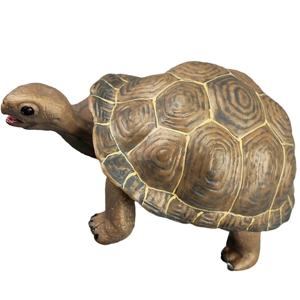 Realistic Animals Desktop Decor Sea Creature Model Little Critters Toys Simulation Turtle Tortoise Turtle Ornament
Realistic Animals Desktop Decor Sea Creature Model Little Critters Toys Simulation Turtle Tortoise Turtle Ornament