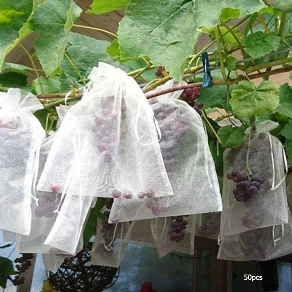Моющиеся Многоразовые сетчатые продуктовые сумки, легкая продуктовая продукция, хранение овощей для домашнего сада, поставка травы
Моющиеся Многоразовые сетчатые продуктовые сумки, легкая продуктовая продукция, хранение овощей для домашнего сада, поставка травы