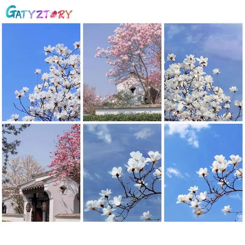GATYZTORY Picture By Number Flower Kits For Adults Painting By Number Drawing On Canvas HandPainted Gift Home Decoration
GATYZTORY Picture By Number Flower Kits For Adults Painting By Number Drawing On Canvas HandPainted Gift Home Decoration