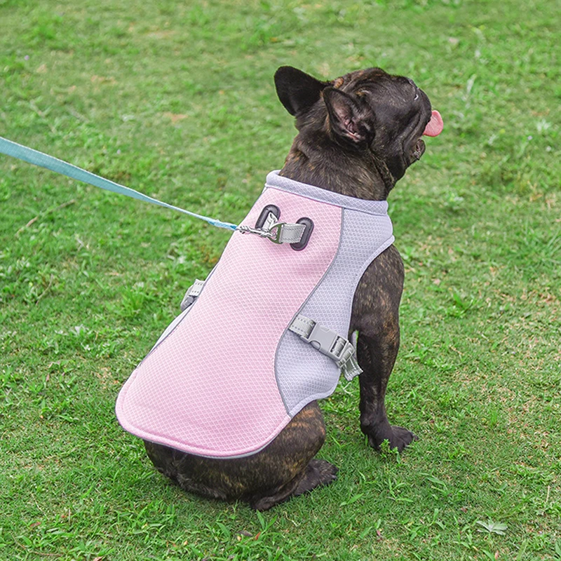 Harness Reflective Quick Release Hot Pet Clothes Cool Jacket For Small Medium Largr Dog Accessories
Harness Reflective Quick Release Hot Pet Clothes Cool Jacket For Small Medium Largr Dog Accessories