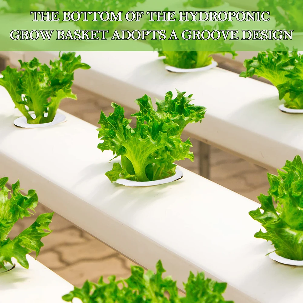 50 Pcs Hydroponics Soilless Grow Sponges Planting Baskets Sunshade Stickers Set For Aerogarden Planting Growing Supplies
50 Pcs Hydroponics Soilless Grow Sponges Planting Baskets Sunshade Stickers Set For Aerogarden Planting Growing Supplies