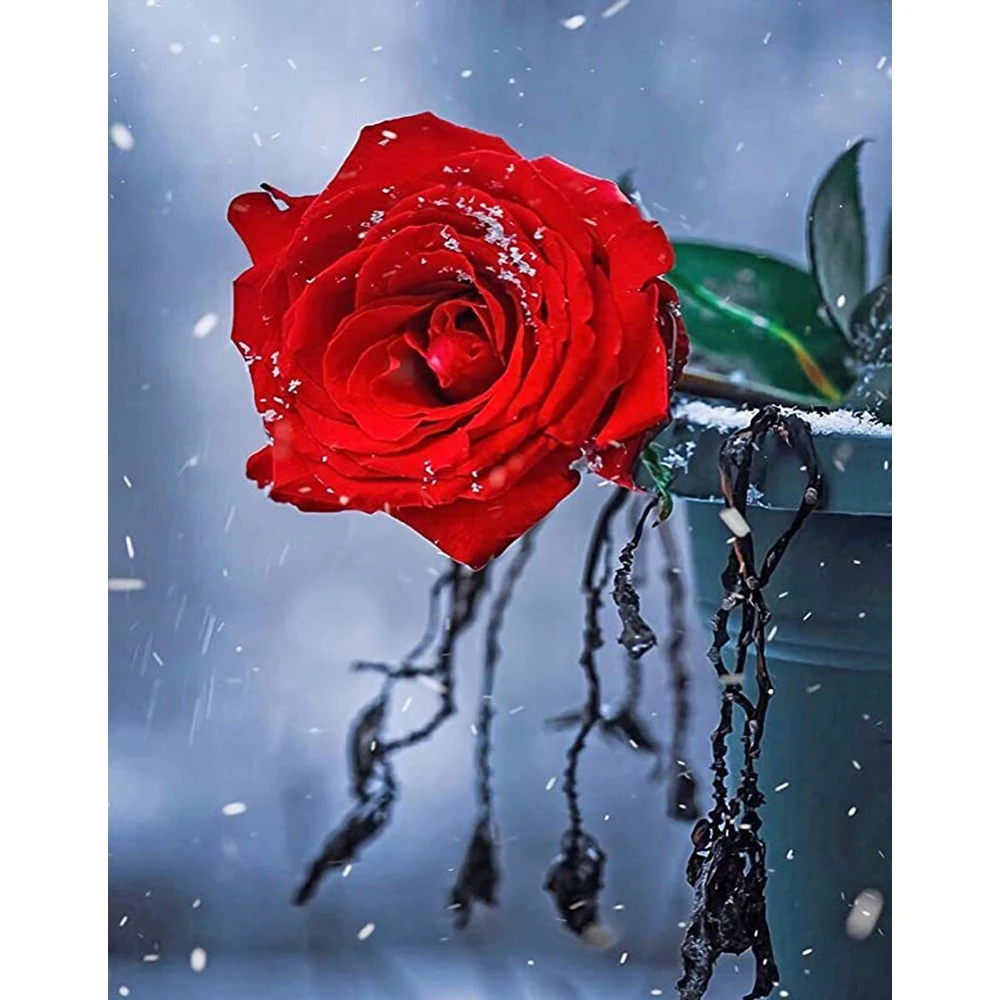 YIBRIGHT DIY Алмазная картина алмазная Роза полностью квадратная/круглая Алмазная настенная художественная цветочная картина для домашнего декора 
YIBRIGHT DIY Алмазная картина алмазная Роза полностью квадратная/круглая Алмазная настенная художественная цветочная картина для домашнего декора