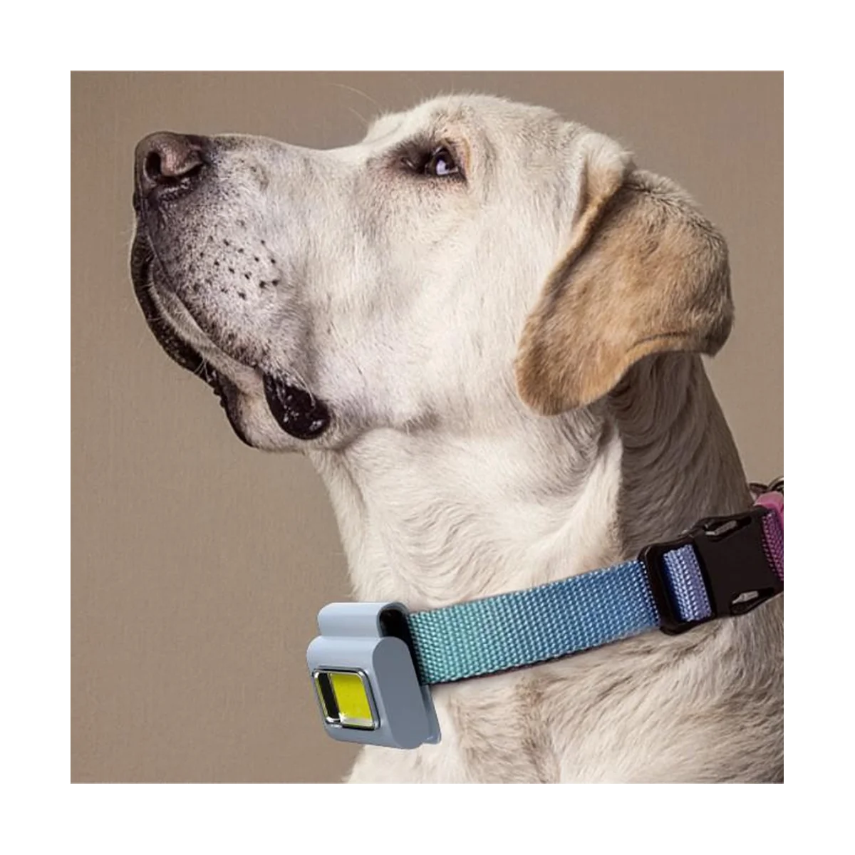 Multi-Purpose Type-C Rechargeable head light lamp with Magnetic Absorption Portable Clothes Clip Running Cob Work Lamp
Multi-Purpose Type-C Rechargeable head light lamp with Magnetic Absorption Portable Clothes Clip Running Cob Work Lamp