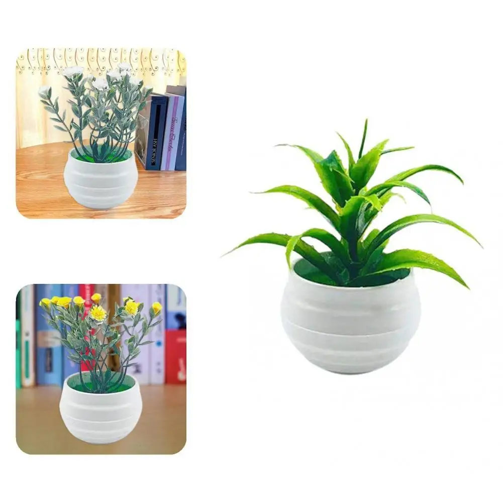 Special Bright Color Decorative Easy to Care Fake Potted Plant Home Decor Fake Potted Plant Artificial Potted Flower
Special Bright Color Decorative Easy to Care Fake Potted Plant Home Decor Fake Potted Plant Artificial Potted Flower