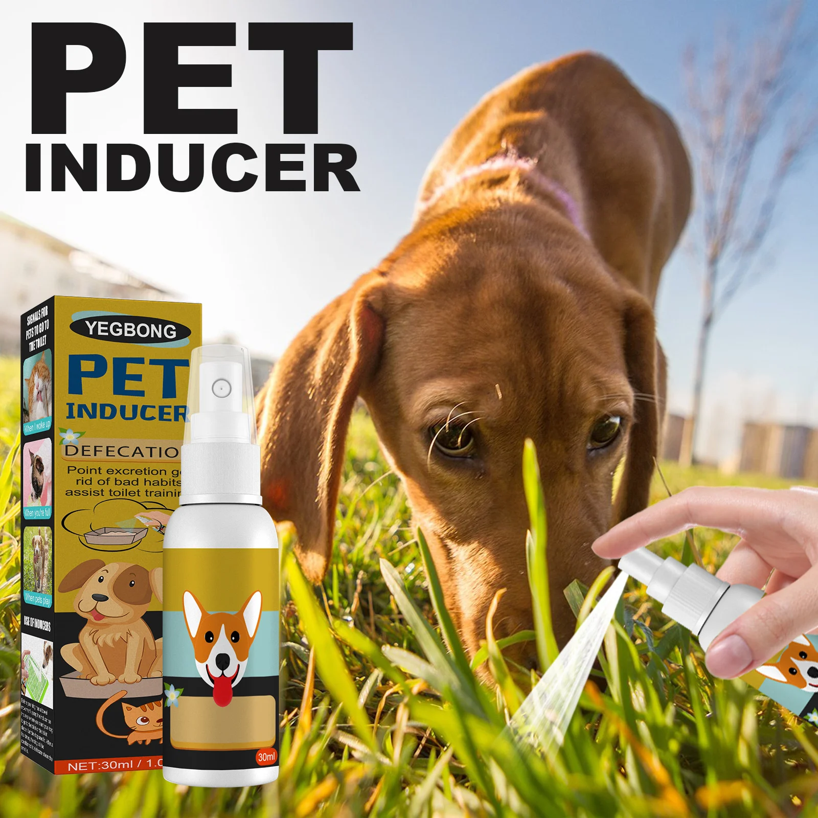 Pet Defecation Positioning Spray Training Pet Defecation Positioning Cat And Dog Defecation Inducer Time Limited
Pet Defecation Positioning Spray Training Pet Defecation Positioning Cat And Dog Defecation Inducer Time Limited