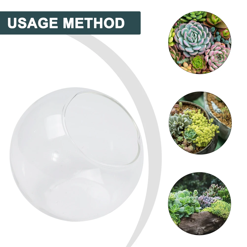 Vases Transparent Oblique Spherical Glass Vase Home Decor Hydroponic Micro Landscape Glass Bottle Decoration Home
Vases Transparent Oblique Spherical Glass Vase Home Decor Hydroponic Micro Landscape Glass Bottle Decoration Home