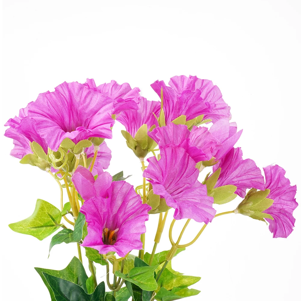 7pronged Imitation Ipomoea Nil Bell Shaped False Flowers For Home Decoration Chlorophytum Comosum Floral
7pronged Imitation Ipomoea Nil Bell Shaped False Flowers For Home Decoration Chlorophytum Comosum Floral