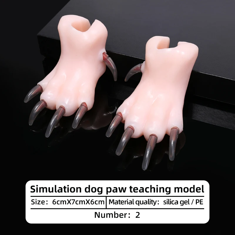 Силиконовая имитация собачьей лапы обучающая модель, обучение красоте домашних животных в школе, косметолога для младших домашних животных, практики резки ногтей для собак
Силиконовая имитация собачьей лапы обучающая модель, обучение красоте домашних животных в школе, косметолога для младших домашних животных, практики резки ногтей для собак