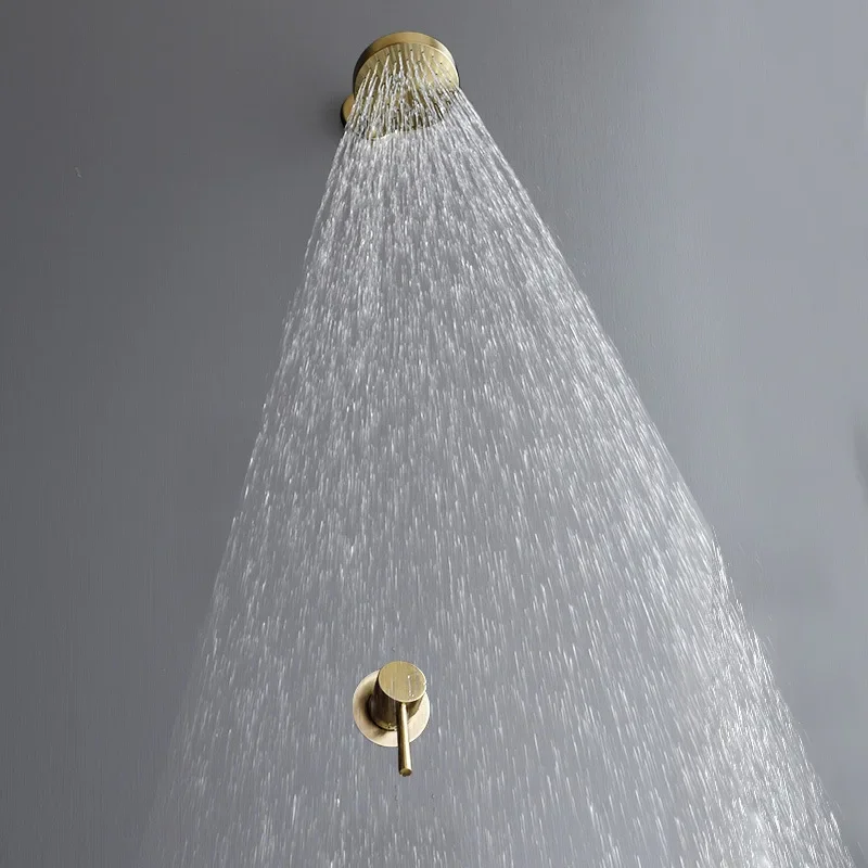 Concealed Wall-Mounted Shower Head Set Stainless Steel Brushed Gold Shower Nozzle Shower Head Simple
Concealed Wall-Mounted Shower Head Set Stainless Steel Brushed Gold Shower Nozzle Shower Head Simple