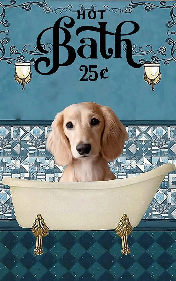 Funny dog pet Metal Tin Signs Toilet Room Retro Sign Bath Soap Bathroom Vintage Bathroom Toilet Bar Cafe Wall Decoration Retro
Funny dog pet Metal Tin Signs Toilet Room Retro Sign Bath Soap Bathroom Vintage Bathroom Toilet Bar Cafe Wall Decoration Retro