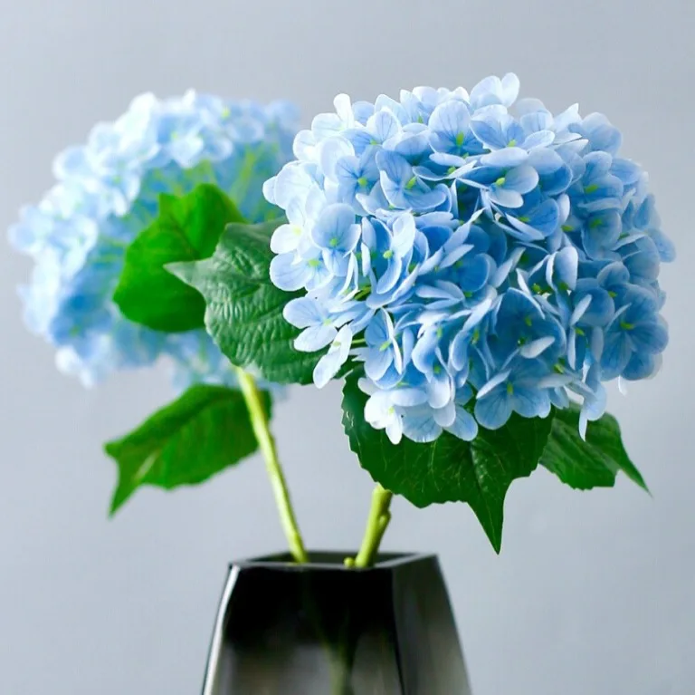 Красивые искусственные большие цветы гортензии, синие настоящие на ощупь искусственные цветы для дома, свадебный декор, украшение стола для гостиной
Красивые искусственные большие цветы гортензии, синие настоящие на ощупь искусственные цветы для дома, свадебный декор, украшение стола для гостиной