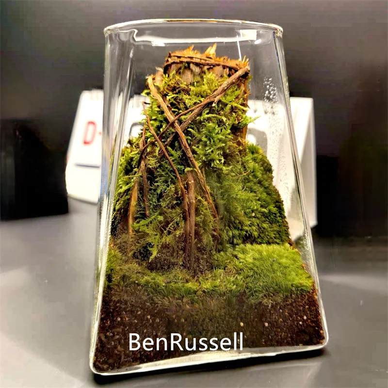 Стеклянные микропейзажные банки BenRussell
Стеклянные микропейзажные банки BenRussell