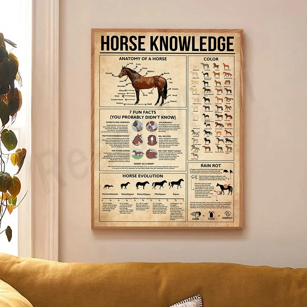 Настенный декор "Знания о лошади", ReachMani
Настенный декор "Знания о лошади", ReachMani