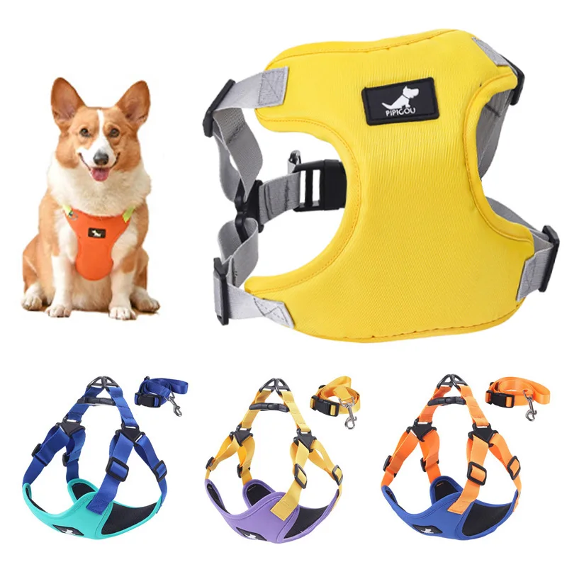 Dog Harness and Leash Set Adjustable Puppy Chest Strap for Small Medium Dog Cat Vest Pet Walking Leads Chihuahua Bulldog Supplie
Dog Harness and Leash Set Adjustable Puppy Chest Strap for Small Medium Dog Cat Vest Pet Walking Leads Chihuahua Bulldog Supplie