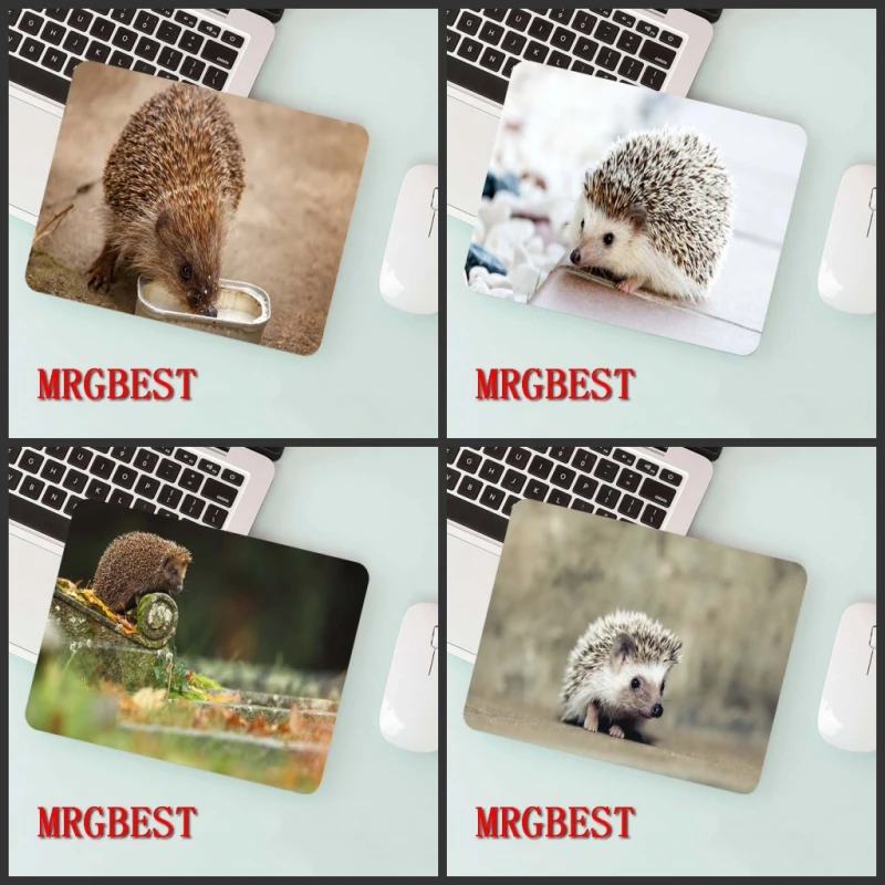MRGBEST big promotion 22X18cm non-locking mouse pad animal hedgehog pattern laptop desk daily office gaming
MRGBEST big promotion 22X18cm non-locking mouse pad animal hedgehog pattern laptop desk daily office gaming
