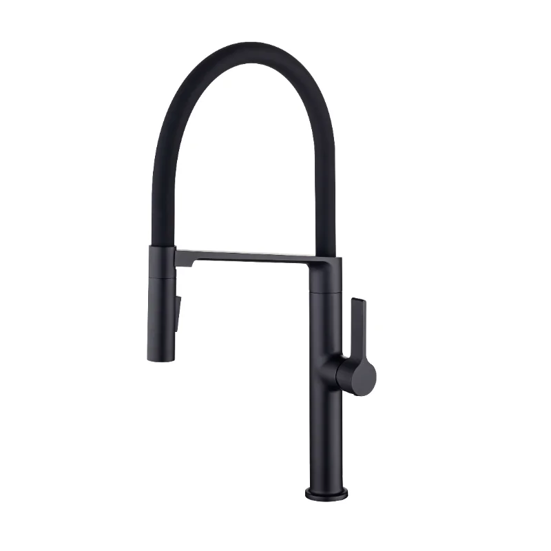 Pull-Down Kitchen Faucet with Two Functional Sprayer\ Commercial Single Handle Single Lever Kitchen Sink Faucet
Pull-Down Kitchen Faucet with Two Functional Sprayer\ Commercial Single Handle Single Lever Kitchen Sink Faucet