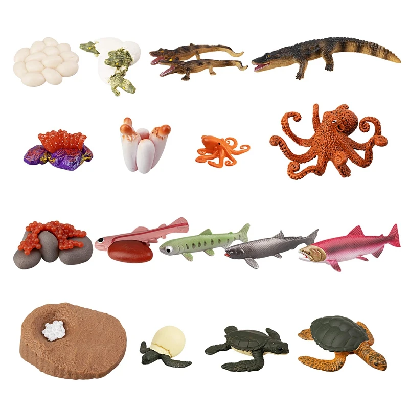 

17 шт. фигурки животных с жизненным циклом, зеленая морская черепаха, крокодил, осьминог, лосось, рыба, имитация модели роста животных