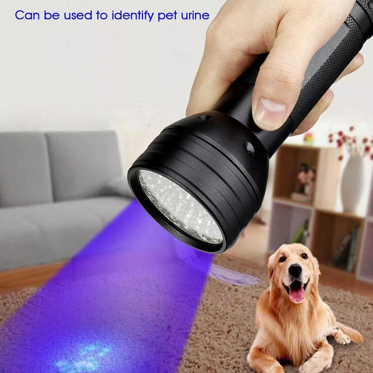 51LED UV Light 395nmFlashlight Mini Ultraviolet Torch With Zoom Function for Dog Urine Pet Stains and Bed Bug Scorpion
51LED UV Light 395nmFlashlight Mini Ultraviolet Torch With Zoom Function for Dog Urine Pet Stains and Bed Bug Scorpion