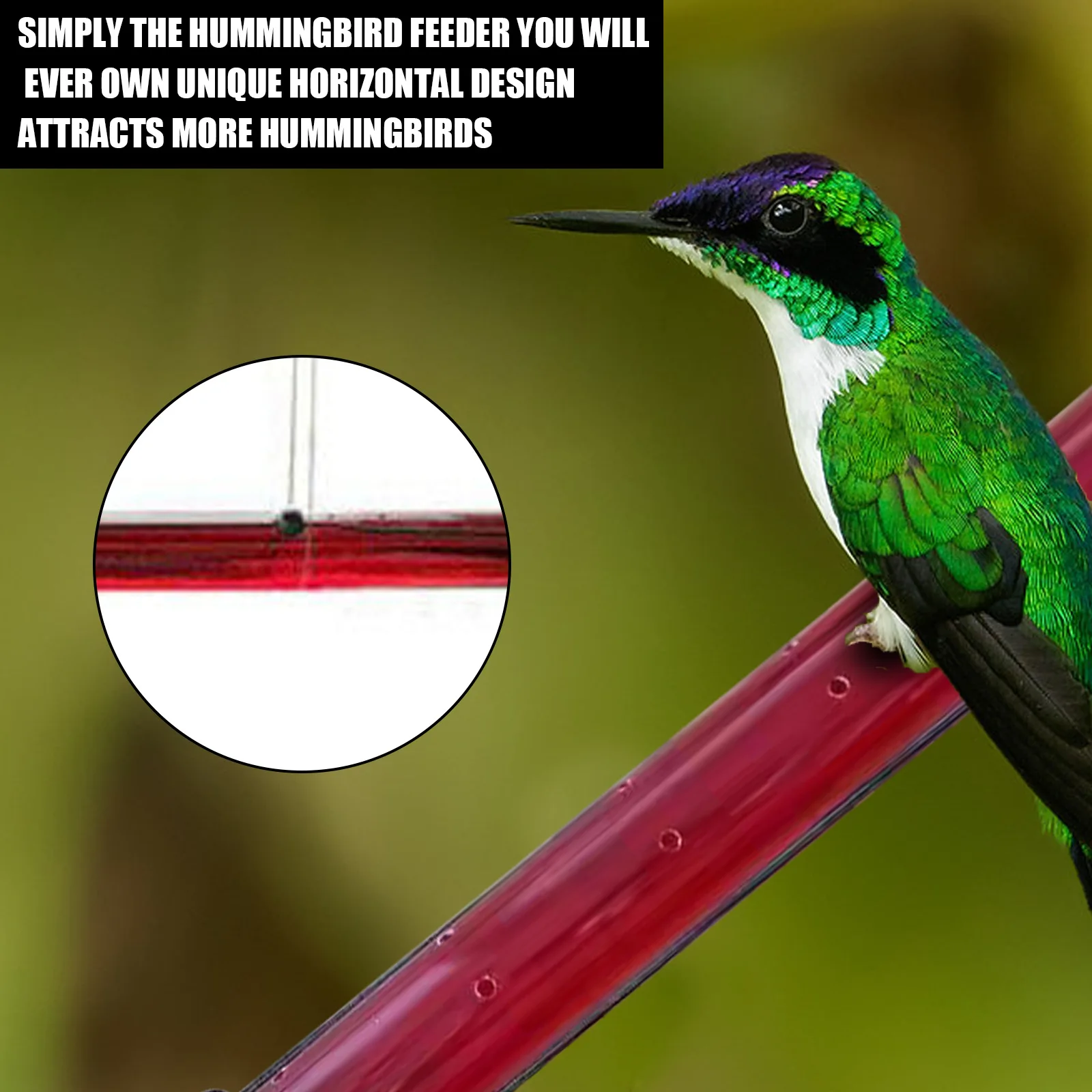 Free Shipping Hanging Long Tube Transparent Red Flower Hummingbird Bird Feeders for Wild Birds
Free Shipping Hanging Long Tube Transparent Red Flower Hummingbird Bird Feeders for Wild Birds