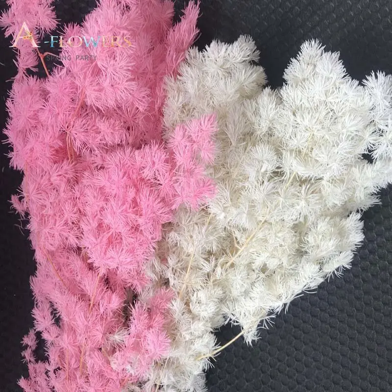 Asparagus Myriocladus Natural Dried Flowers Wedding Decoration Colorful Penglai Song Preserved Flowers Room Decorative Aesthetic
Asparagus Myriocladus Natural Dried Flowers Wedding Decoration Colorful Penglai Song Preserved Flowers Room Decorative Aesthetic
