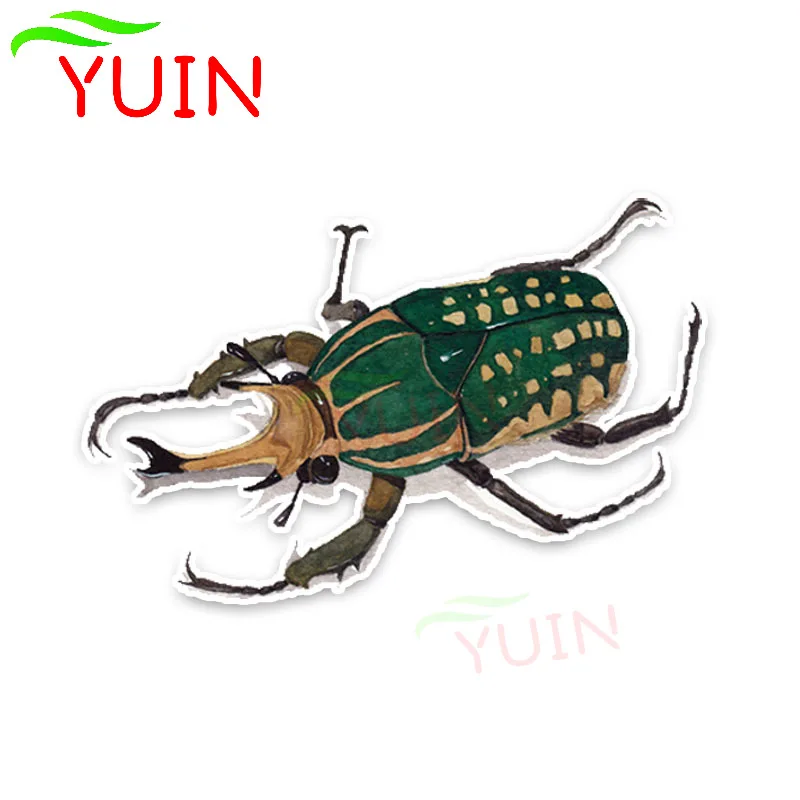 Lovely Stag Beetles Car Sticker Personality Motorcycle Cars Accessories PVC Decoration High Quality Waterproof Decal 12*8cm
Lovely Stag Beetles Car Sticker Personality Motorcycle Cars Accessories PVC Decoration High Quality Waterproof Decal 12*8cm