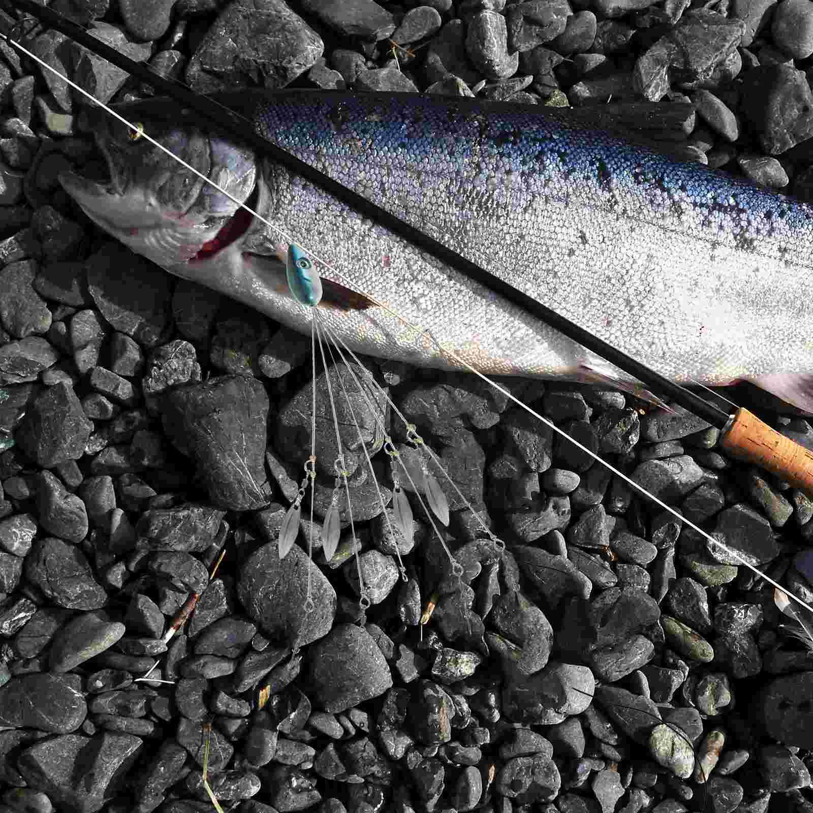 Искусственные наживки, 3 шт., яркие тонущие крючки, удобные рыболовные крючки для соленой воды, рыболовные инструменты
Искусственные наживки, 3 шт., яркие тонущие крючки, удобные рыболовные крючки для соленой воды, рыболовные инструменты