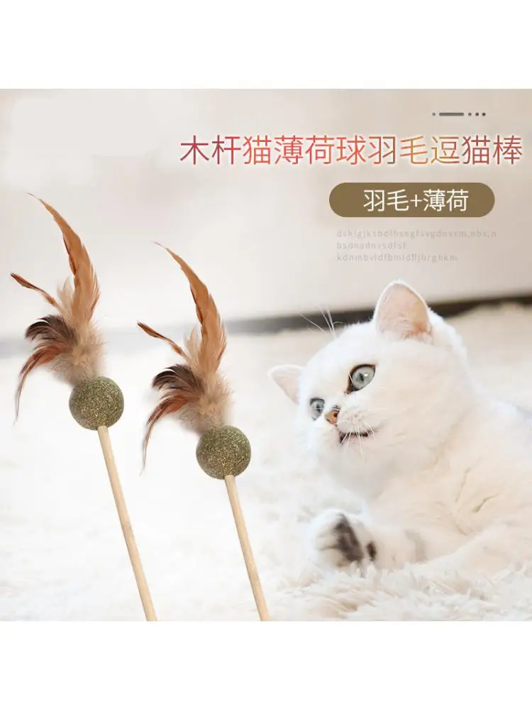 Cat Toys Funny Cat Stick Catnip Molar Teeth Cleaning Snack Stick Funny Cat Stick Funny Fun
Cat Toys Funny Cat Stick Catnip Molar Teeth Cleaning Snack Stick Funny Cat Stick Funny Fun
