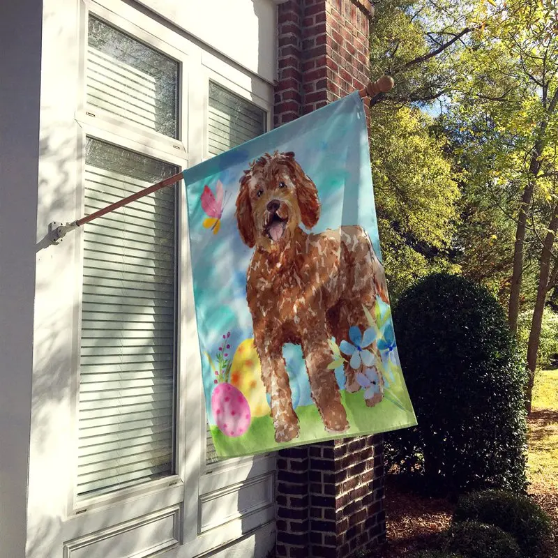 Treasures CK1911CHF Easter Eggs Labradoodle Flag Canvas House Size , Large, multicolor
Treasures CK1911CHF Easter Eggs Labradoodle Flag Canvas House Size , Large, multicolor