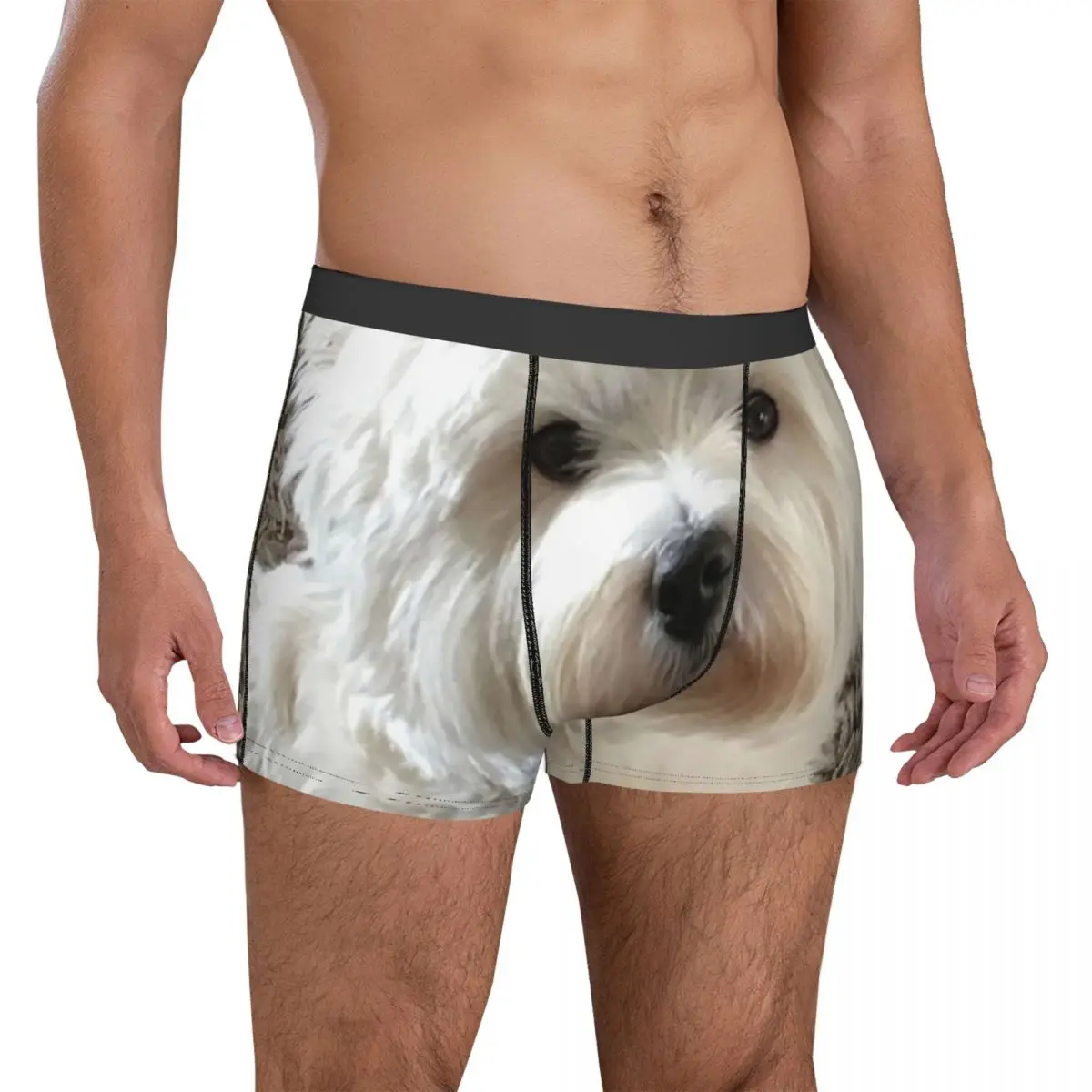 Нижнее белье West Highland White Terrier Westie Pouch, высококачественные боксеры с рисунком в багажнике, удобные мужские трусы, женское нижнее белье
Нижнее белье West Highland White Terrier Westie Pouch, высококачественные боксеры с рисунком в багажнике, удобные мужские трусы, женское нижнее белье