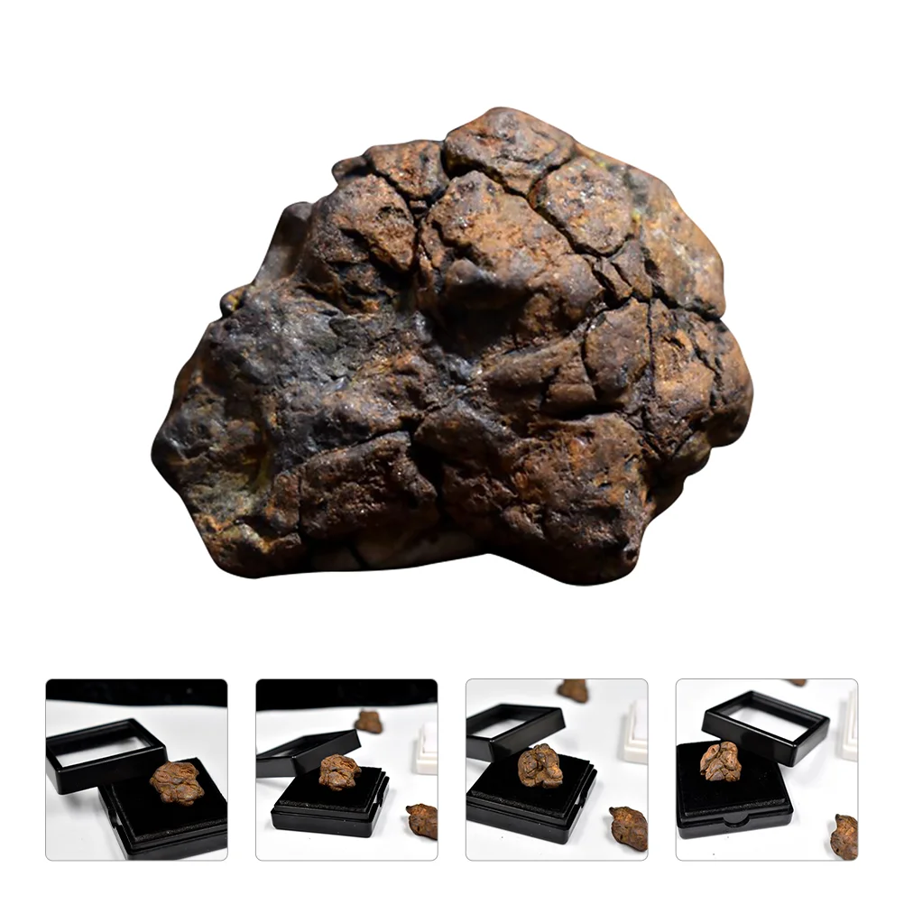 Kenya Teaching Specimen Meteorite Decoration Educational Plaything Table Adornment Children Toys
Kenya Teaching Specimen Meteorite Decoration Educational Plaything Table Adornment Children Toys