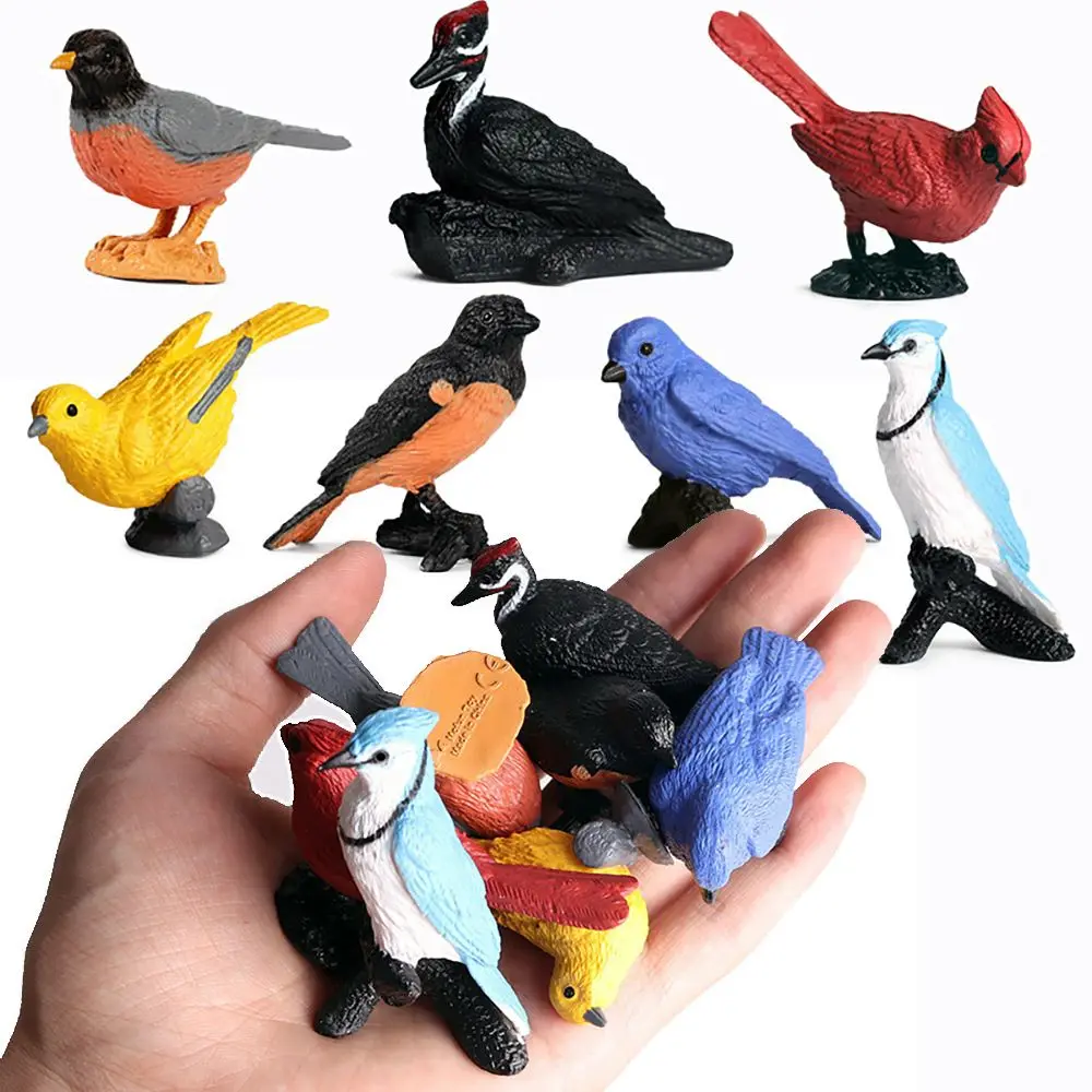 Garden Ornament Early Learning Home Decor Orioles Figurines Lifelike Bird Models Educational Toys Miniature Woodpecker
Garden Ornament Early Learning Home Decor Orioles Figurines Lifelike Bird Models Educational Toys Miniature Woodpecker