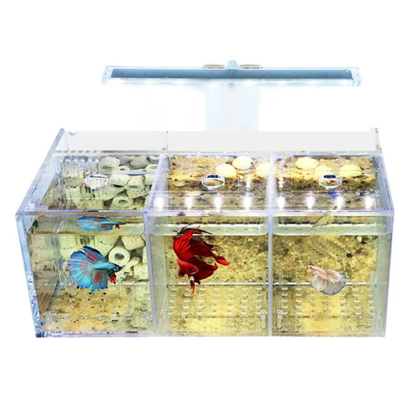 Aquarium LED Acrylic Betta Fish Tank Set Mini Desktop Light Water Pump Filters-Triple
Aquarium LED Acrylic Betta Fish Tank Set Mini Desktop Light Water Pump Filters-Triple