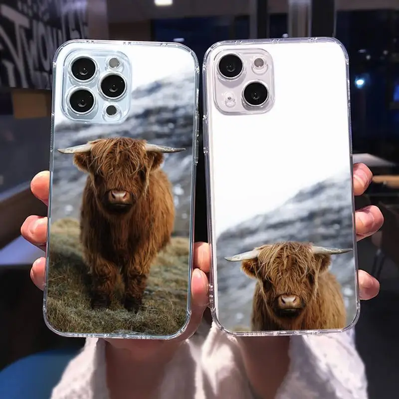Cute Highland Cows animal Phone Case Transparent soft For iphone 12 11 13 7 8 6 s plus x xs xr pro max mini
Cute Highland Cows animal Phone Case Transparent soft For iphone 12 11 13 7 8 6 s plus x xs xr pro max mini