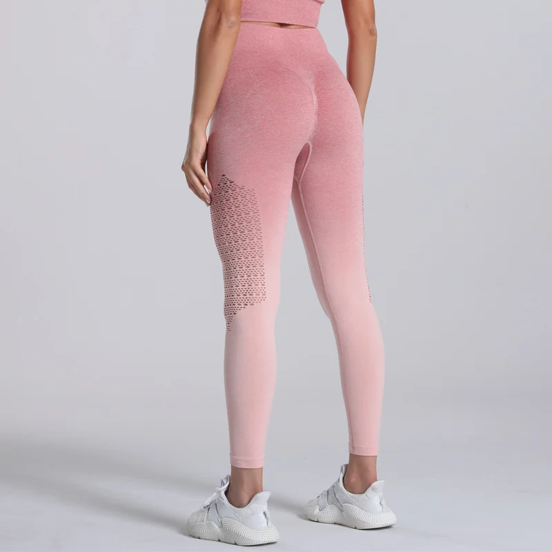 Women Seamless Leggings High Waist Hollow Yoga Pants Fitness Women Workout Breathable Leggings Abdominal Compression Leggings
Women Seamless Leggings High Waist Hollow Yoga Pants Fitness Women Workout Breathable Leggings Abdominal Compression Leggings