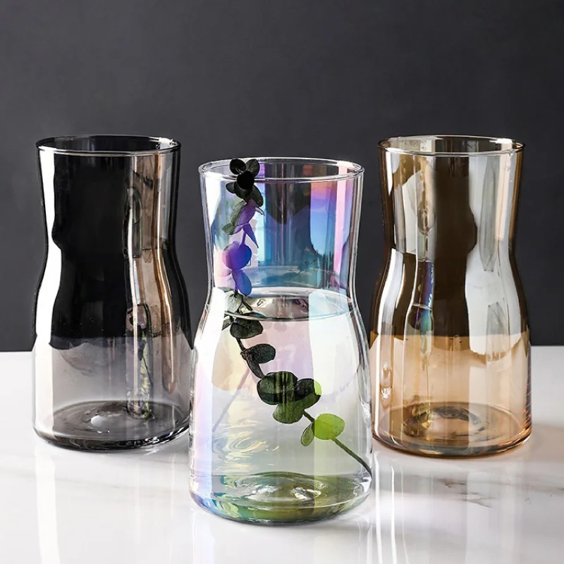 Modern Home Decor Vase Creative Colorful Glass Vase Nordic Style Living Room Decoration Accessories Transparent Hydroponic Vase
Modern Home Decor Vase Creative Colorful Glass Vase Nordic Style Living Room Decoration Accessories Transparent Hydroponic Vase