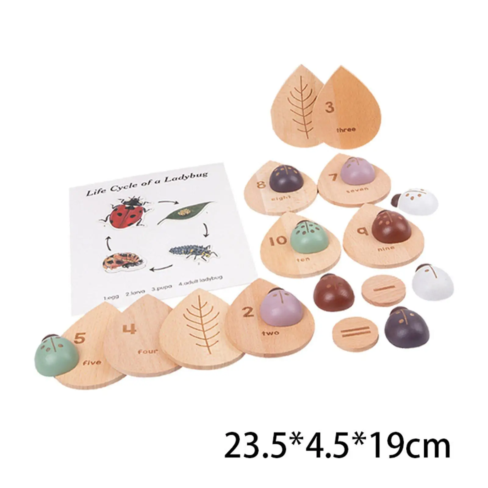 Wooden Math Toys Ladybugs Number Matching Education Toy Souptoys Stem Toy Math Game Learning Toys for Kids Age 3-6 DIY Puzzle
Wooden Math Toys Ladybugs Number Matching Education Toy Souptoys Stem Toy Math Game Learning Toys for Kids Age 3-6 DIY Puzzle