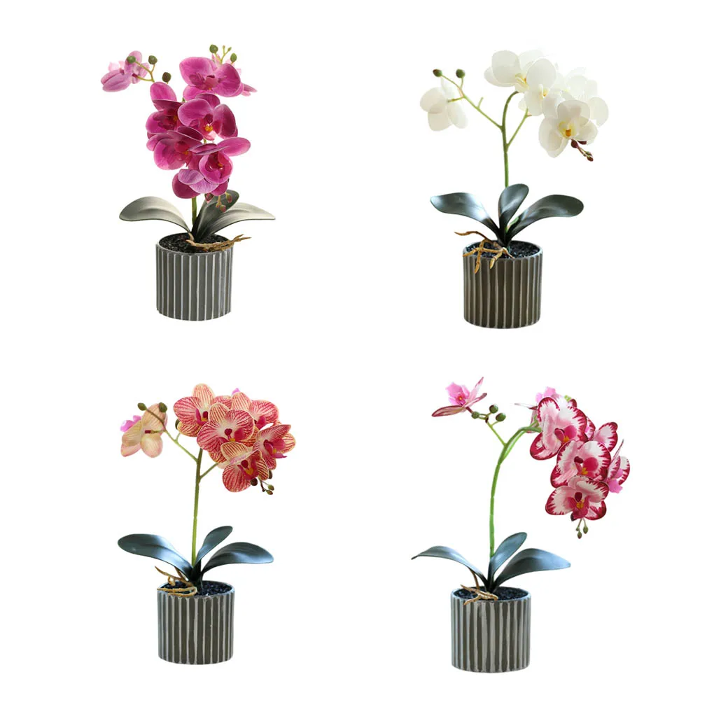 Artificial Orchid Bonsai Potted Simulation Phalaenopsis Home Office Garden Realistic for Indoor Decoration
Artificial Orchid Bonsai Potted Simulation Phalaenopsis Home Office Garden Realistic for Indoor Decoration