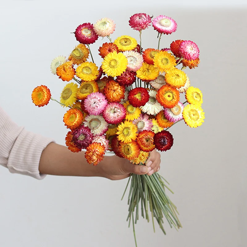 Dry Flower Daisy Head DIY Immortal Wedding Arrangement Flower Straw Chrysanthemum Dried Natural Home Room Table Ornaments
Dry Flower Daisy Head DIY Immortal Wedding Arrangement Flower Straw Chrysanthemum Dried Natural Home Room Table Ornaments