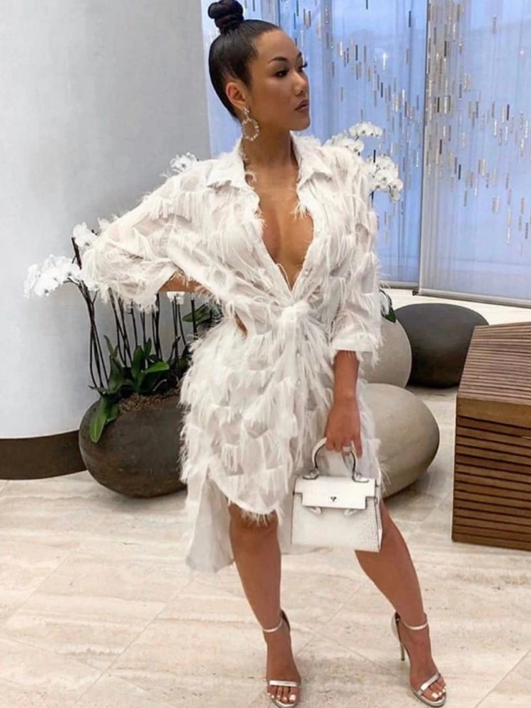 Feather Spliced Autumn Women Midi Dress Long Sleeve Turn-down Collar Loose Shirt Dresses White Big Size Asymmetrical Vestidos
Feather Spliced Autumn Women Midi Dress Long Sleeve Turn-down Collar Loose Shirt Dresses White Big Size Asymmetrical Vestidos