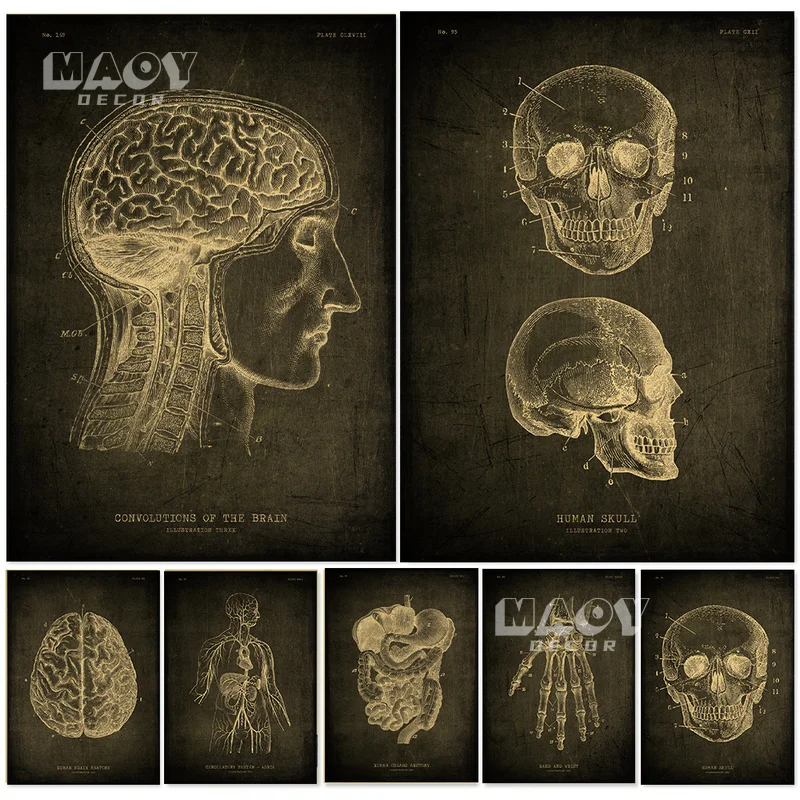 Anatomical Skeleton Chalkboard Kraft Paper Poster Vintage Room Medicine Student Decor Medical Body Structure Art Wall Painting
Anatomical Skeleton Chalkboard Kraft Paper Poster Vintage Room Medicine Student Decor Medical Body Structure Art Wall Painting