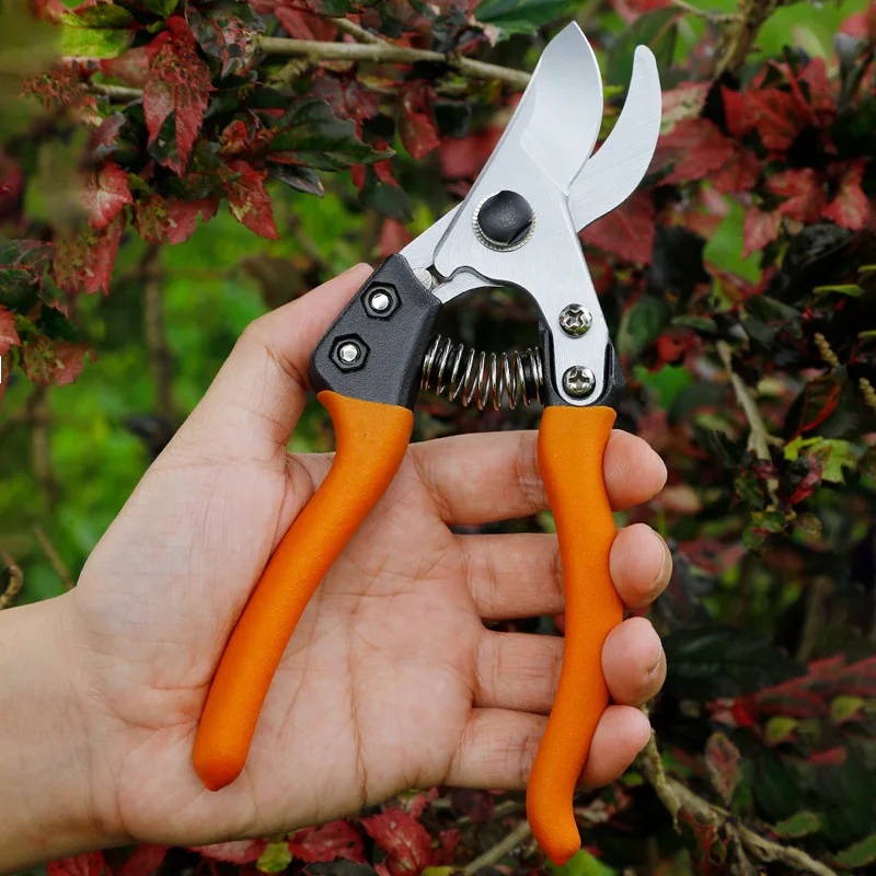 

High Carbon Fruit Tree Scissors Pruning Shears Garden Tools Steel Bonsai Pruners Gardening Secateurs Grafting Tool