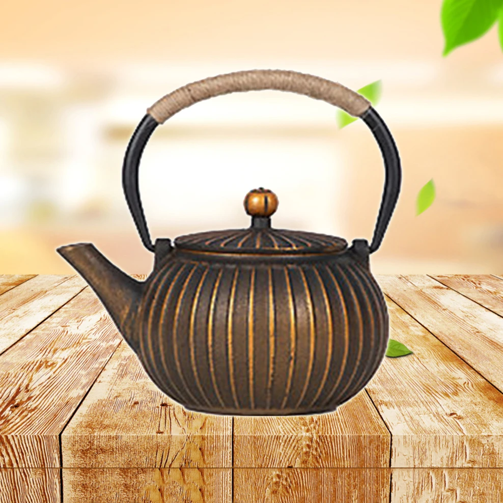 Cast Iron Teapot Home Boiling Water Pot Japanese-style Boiling Teapot With Filter Retro Tea Set
Cast Iron Teapot Home Boiling Water Pot Japanese-style Boiling Teapot With Filter Retro Tea Set