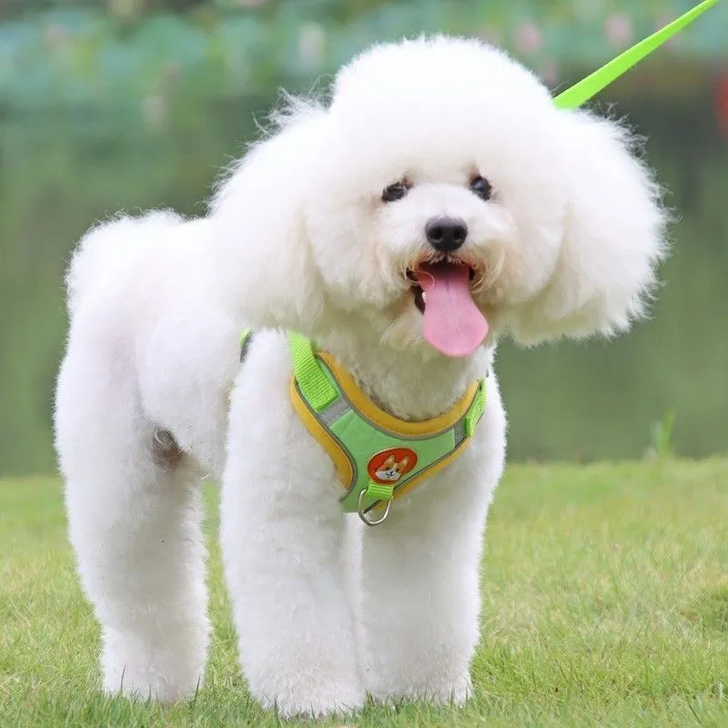 Pet chest strap vest type dog strap small dog rope outdoor reflective And Breathable dog traction rope dog collar Seat belts
Pet chest strap vest type dog strap small dog rope outdoor reflective And Breathable dog traction rope dog collar Seat belts