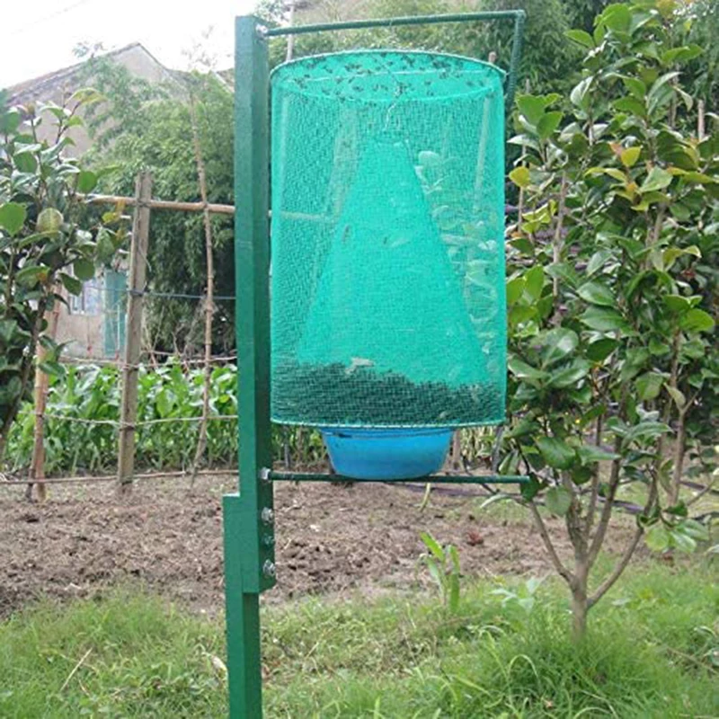 Fly Catcher Killer Pest Control Reusable Hanging Fly Trap Flytrap Cage Net Traps Garden Hanging Flycatcher for Dropshipping
Fly Catcher Killer Pest Control Reusable Hanging Fly Trap Flytrap Cage Net Traps Garden Hanging Flycatcher for Dropshipping
