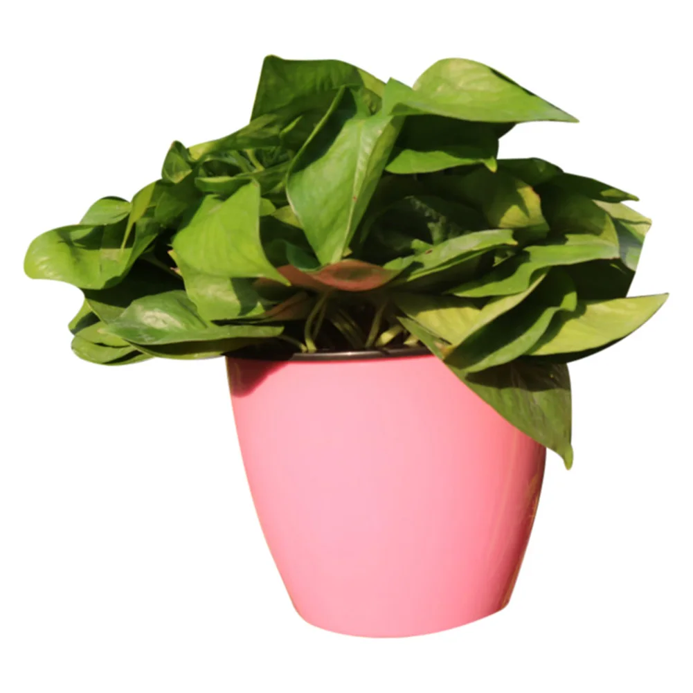 Automatic Water-Absorbing Flower Pot Wall-Mounted Planter For Wall Décor Home Office Supplies
Automatic Water-Absorbing Flower Pot Wall-Mounted Planter For Wall Décor Home Office Supplies