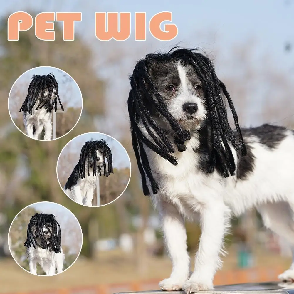 Новый Страшный замок, крутой женский костюм для собаки, черный женский аксессуар, парик для собаки, парик для клоуна, длинная мужская шляпа д...
Новый Страшный замок, крутой женский костюм для собаки, черный женский аксессуар, парик для собаки, парик для клоуна, длинная мужская шляпа д...