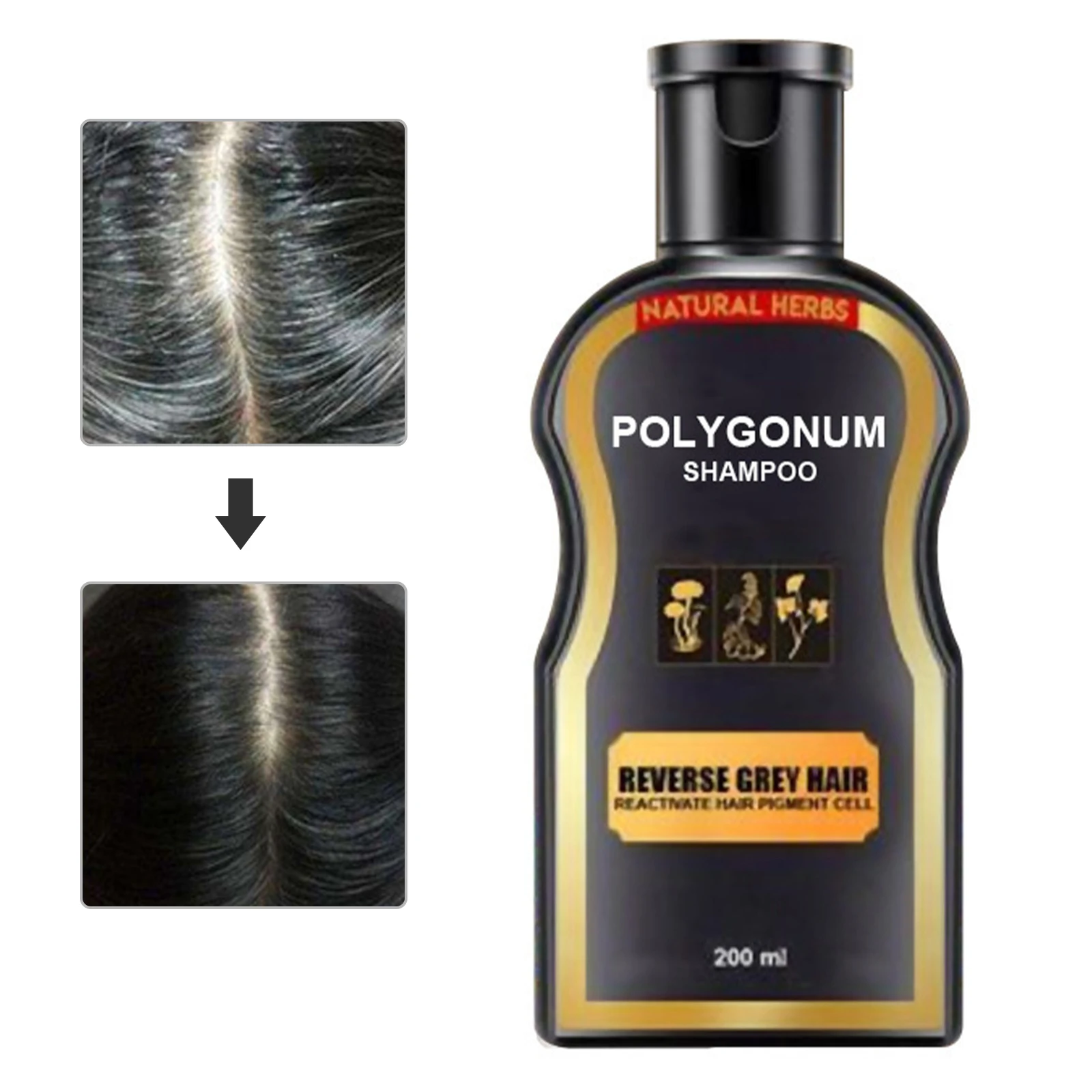 Black Hair Growth Anti White Hair Shampoo Prevent White Hair Restore Melanin Serum Oil Control Repair Dry Damaged Hair 200ml
Black Hair Growth Anti White Hair Shampoo Prevent White Hair Restore Melanin Serum Oil Control Repair Dry Damaged Hair 200ml