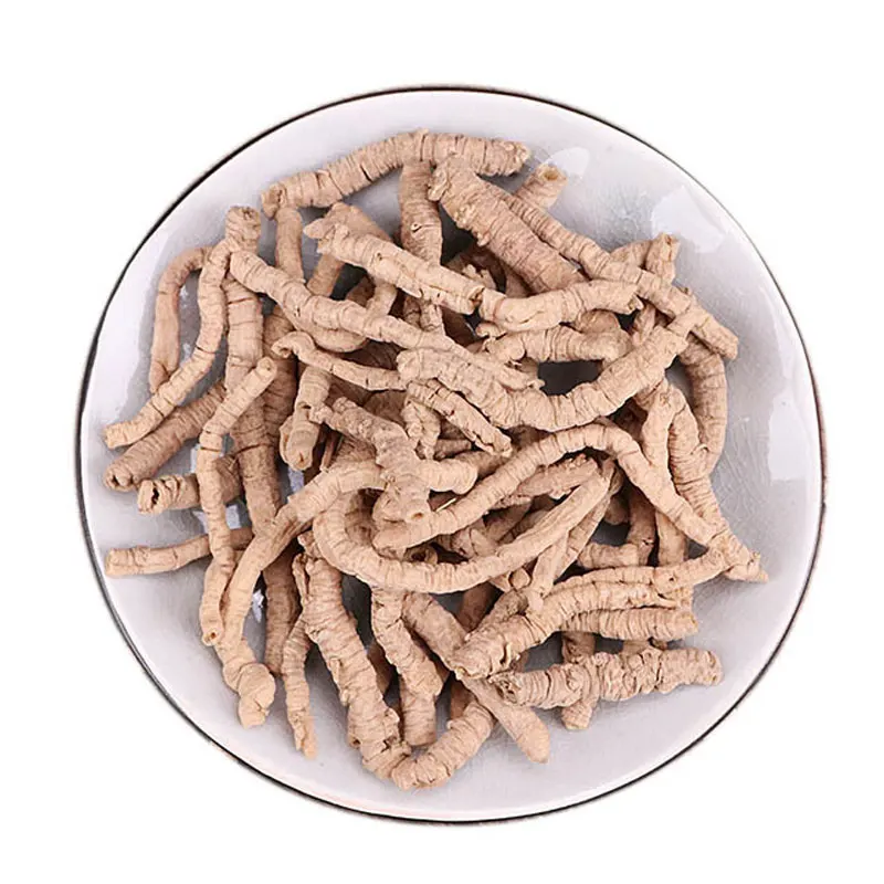 Polygala tenuifolia Willd,Polygalae Radix,Yuanzhi 
Polygala tenuifolia Willd,Polygalae Radix,Yuanzhi